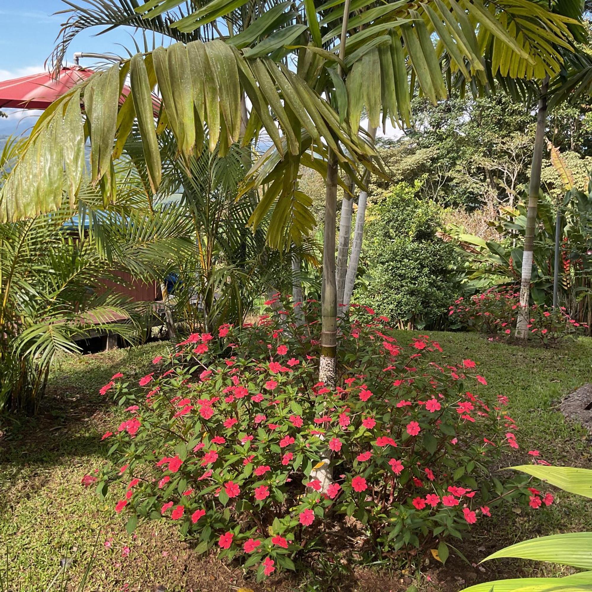 Quinta Los Volcanes Turrialba Extérieur photo